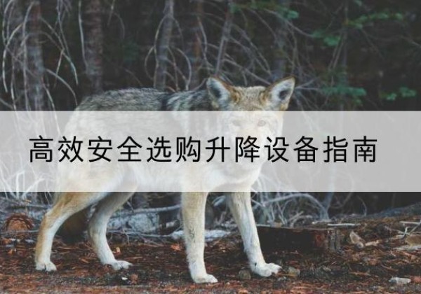 江苏升降货梯厂家推荐-*安全选购升降设备指南