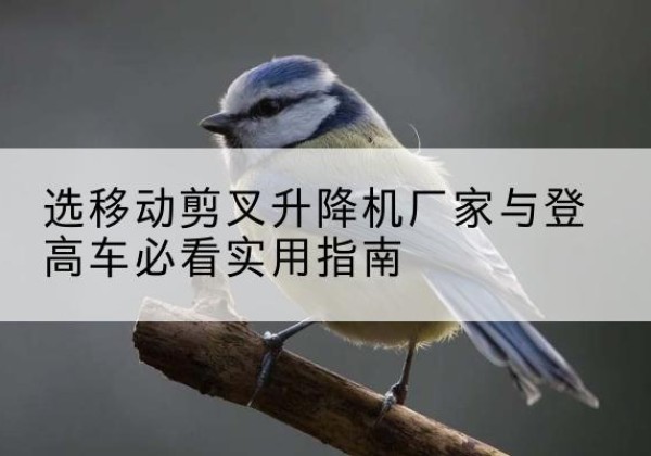 江苏电动升降机厂家-选移动剪叉升降机厂家与登高车必看实用指南